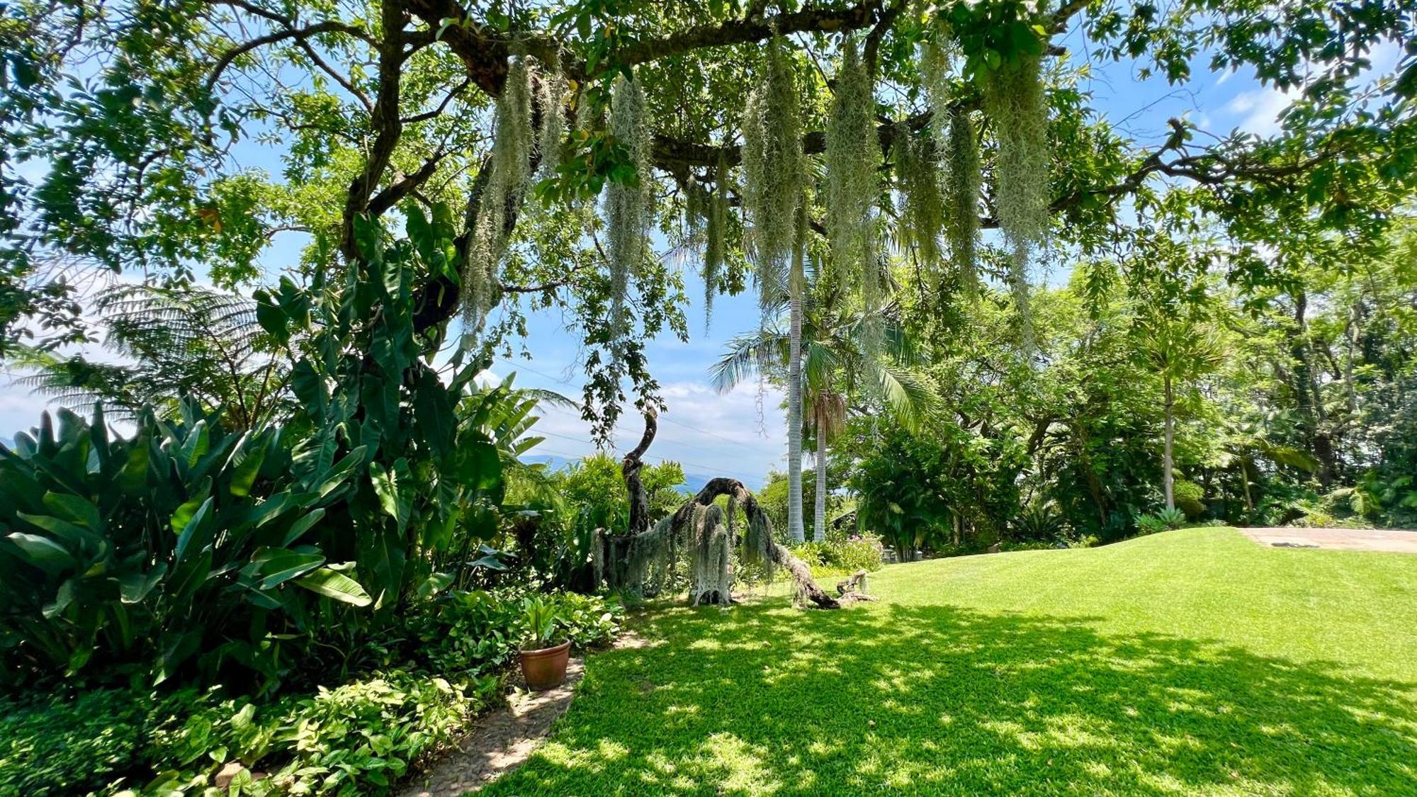 Loerieroep Estate - Mountainview Selfcatering Accommodation Nelspruit ネルスプロイト エクステリア 写真