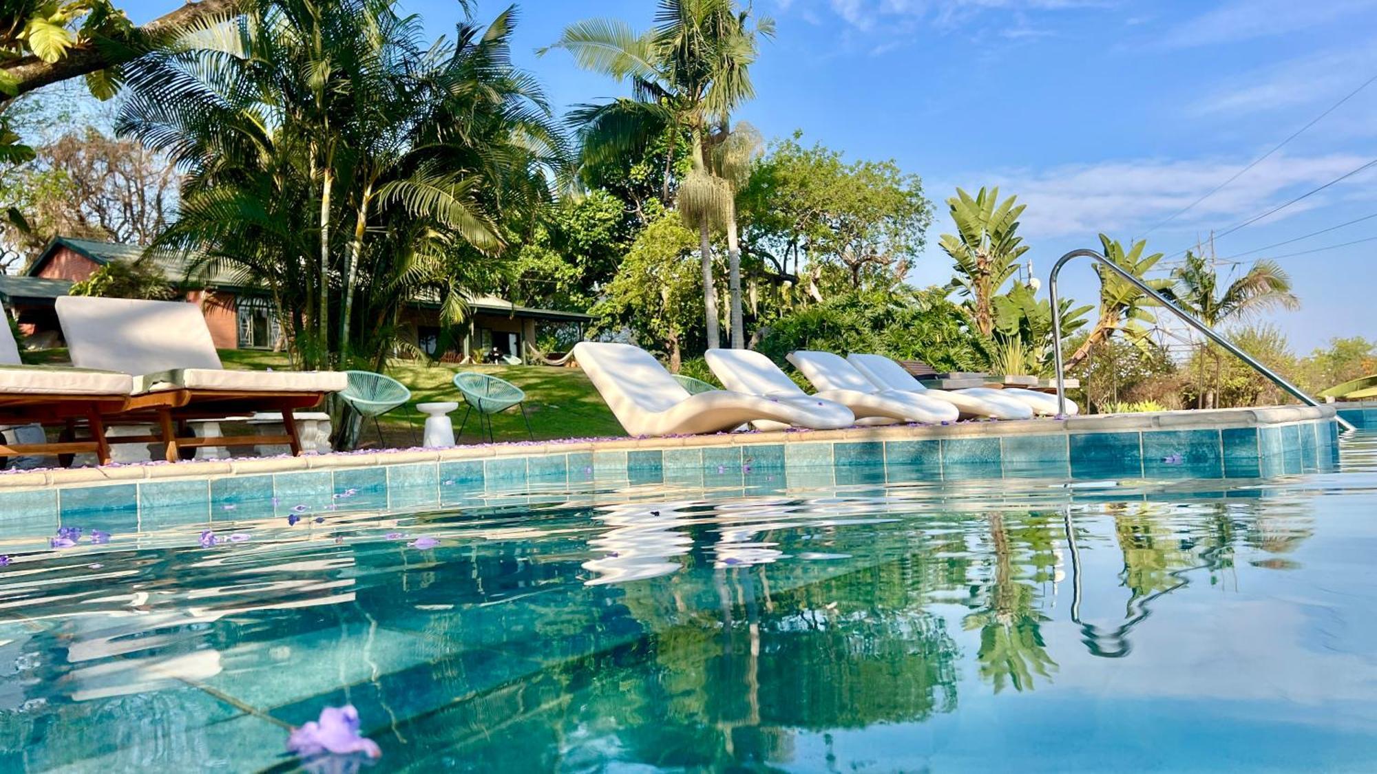 Loerieroep Estate - Mountainview Selfcatering Accommodation Nelspruit ネルスプロイト エクステリア 写真